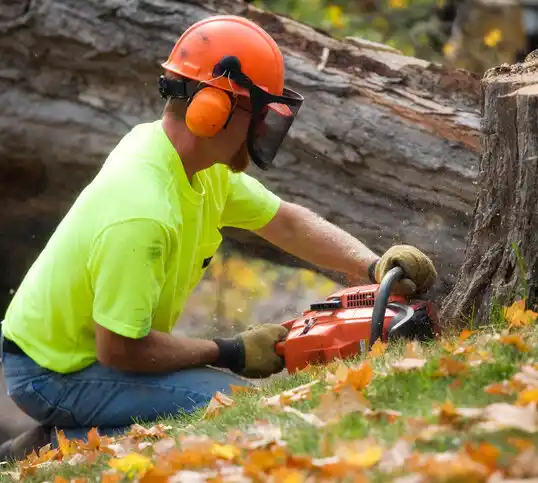 tree services Wellsburg